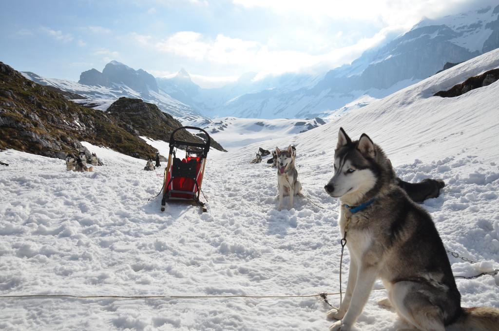 Huettenhotel Husky Lodge Muotathal Eksteriør bilde